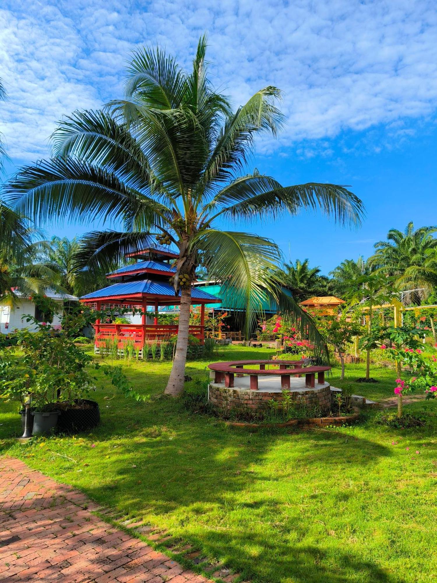 Shunde Palm Resort 仙本那顺德人家棕榈园 Dış mekan fotoğraf