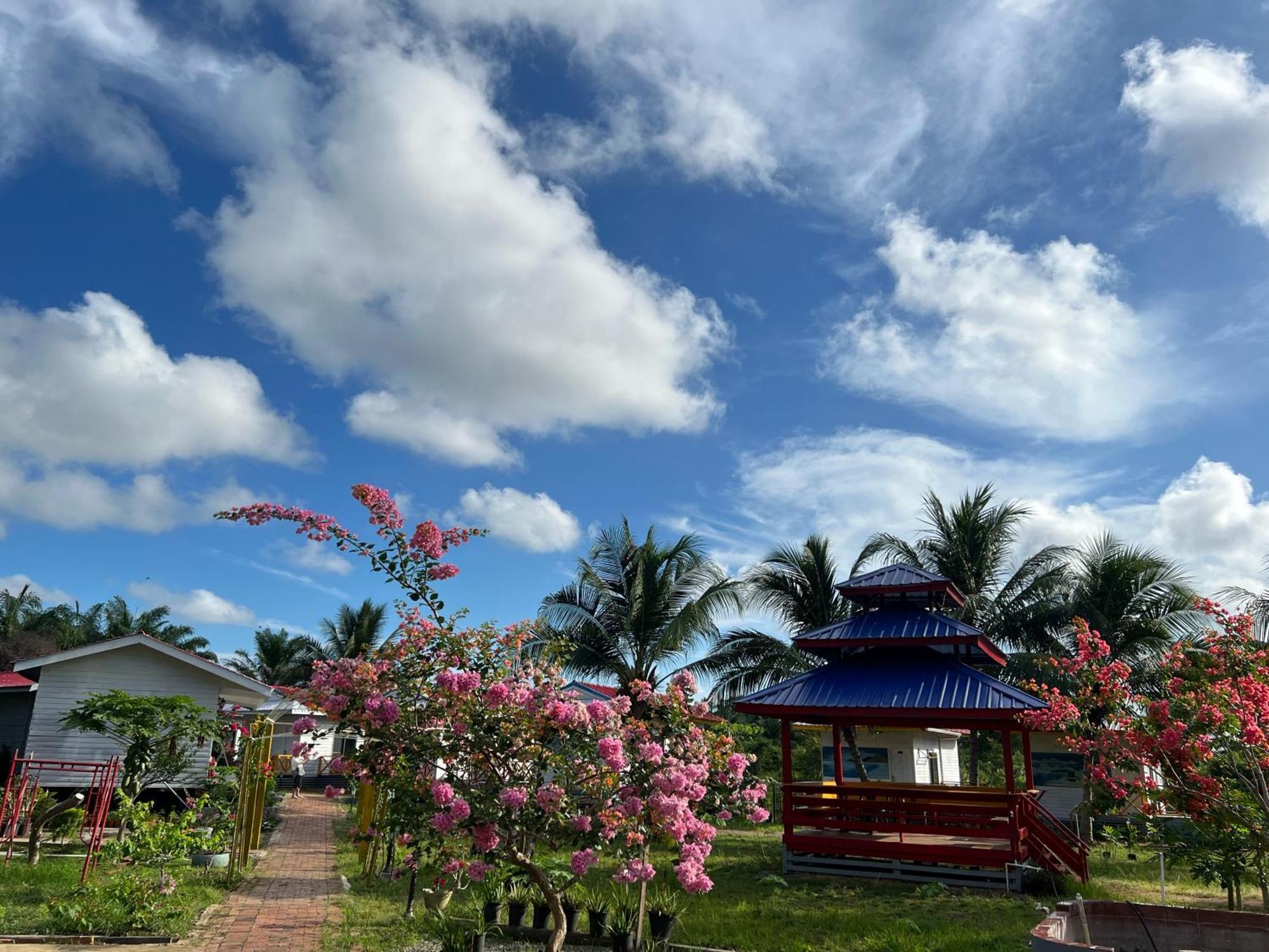 Shunde Palm Resort 仙本那顺德人家棕榈园 Dış mekan fotoğraf