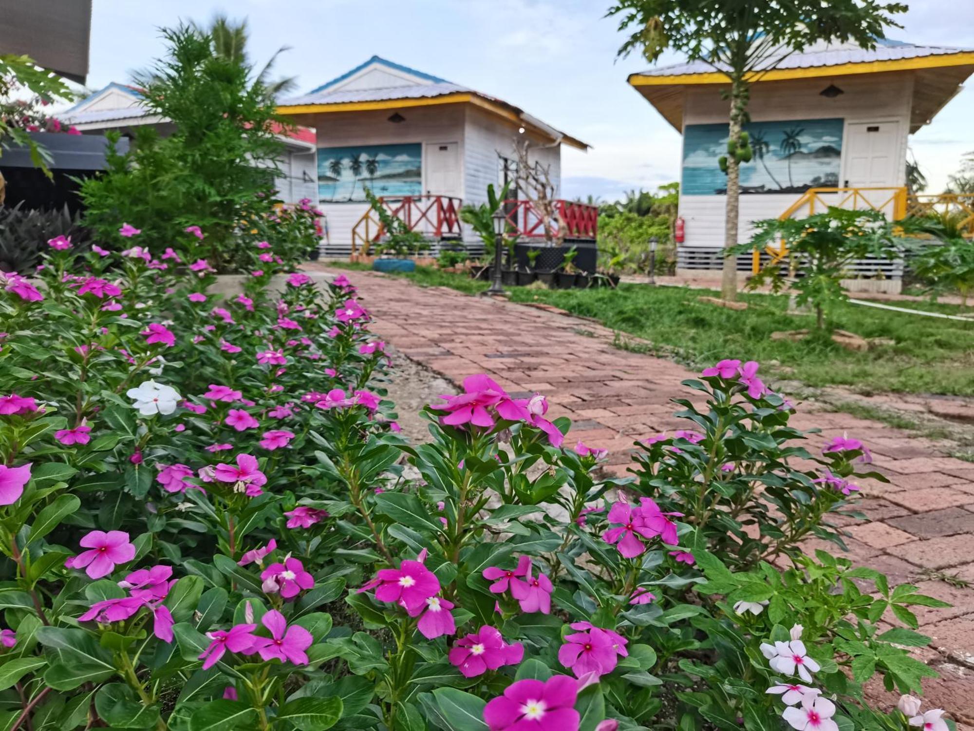 Shunde Palm Resort 仙本那顺德人家棕榈园 Dış mekan fotoğraf